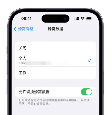 自贡苹果维修服务分享如何在iPhone上使用双卡 